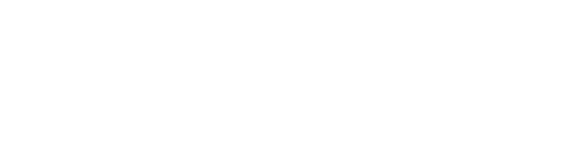 KLEINHANNS Logo
