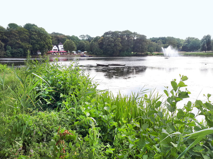 Speckenbütteler Park mit Blick auf das Wirtshaus "Haus am See", Bild: Andre Kleinhanns